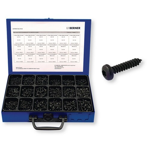Coffret BS 3175 D vis tôle tête cylindrique 6 lobes zinguées noires TX